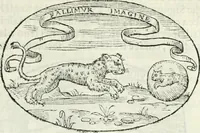 An illustration from Delle imprese, trattato (1592)