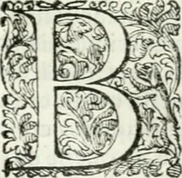 An illustration from Delle imprese, trattato (1592)
