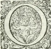 An illustration from Delle imprese, trattato (1592)