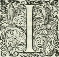 An illustration from Delle imprese, trattato (1592)
