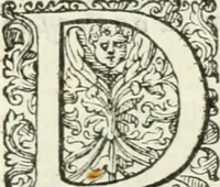 An illustration from Delle imprese, trattato (1592)