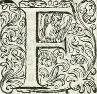 An illustration from Delle imprese, trattato (1592)