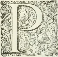 An illustration from Delle imprese, trattato (1592)