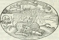 An illustration from Delle imprese, trattato (1592)