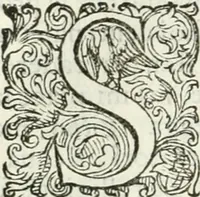 An illustration from Delle imprese, trattato (1592)