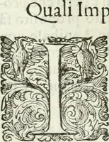 An illustration from Delle imprese, trattato (1592)