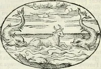 An illustration from Delle imprese, trattato (1592)