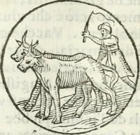 An illustration from Delle imprese, trattato (1592)
