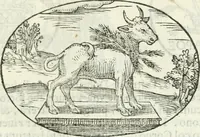 An illustration from Delle imprese, trattato (1592)