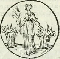 An illustration from Delle imprese, trattato (1592)