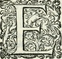 An illustration from Delle imprese, trattato (1592)