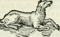 An illustration from Delle imprese, trattato (1592)
