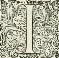 An illustration from Delle imprese, trattato (1592)