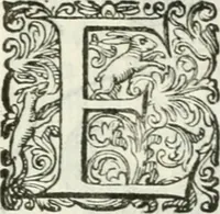 An illustration from Delle imprese, trattato (1592)