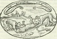An illustration from Delle imprese, trattato (1592)