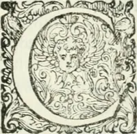 An illustration from Delle imprese, trattato (1592)