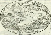 An illustration from Delle imprese, trattato (1592)