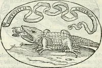 An illustration from Delle imprese, trattato (1592)