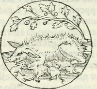 An illustration from Delle imprese, trattato (1592)