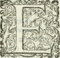 An illustration from Delle imprese, trattato (1592)