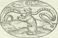 An illustration from Delle imprese, trattato (1592)