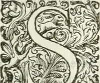 An illustration from Delle imprese, trattato (1592)