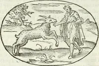 An illustration from Delle imprese, trattato (1592)