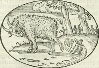 An illustration from Delle imprese, trattato (1592)