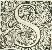 An illustration from Delle imprese, trattato (1592)