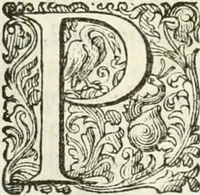 An illustration from Delle imprese, trattato (1592)