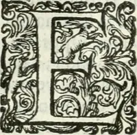 An illustration from Delle imprese, trattato (1592)