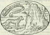 An illustration from Delle imprese, trattato (1592)