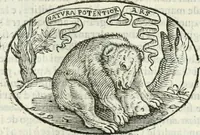 An illustration from Delle imprese, trattato (1592)