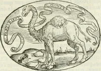 An illustration from Delle imprese, trattato (1592)