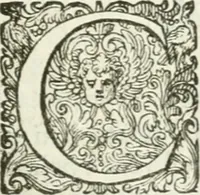An illustration from Delle imprese, trattato (1592)