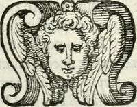 An illustration from Delle imprese, trattato (1592)