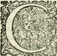 An illustration from Delle imprese, trattato (1592)