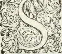 An illustration from Delle imprese, trattato (1592)
