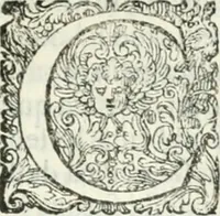 An illustration from Delle imprese, trattato (1592)