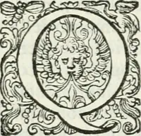 An illustration from Delle imprese, trattato (1592)