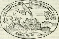 An illustration from Delle imprese, trattato (1592)