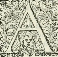 An illustration from Delle imprese, trattato (1592)