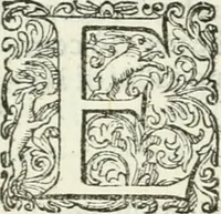 An illustration from Delle imprese, trattato (1592)
