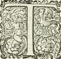 An illustration from Delle imprese, trattato (1592)