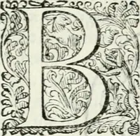 An illustration from Delle imprese, trattato (1592)