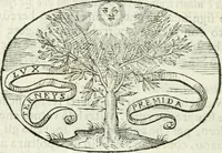 An illustration from Delle imprese, trattato (1592)