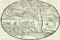 An illustration from Delle imprese, trattato (1592)