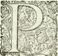 An illustration from Delle imprese, trattato (1592)