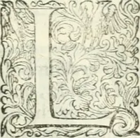 An illustration from Delle imprese, trattato (1592)