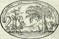 An illustration from Delle imprese, trattato (1592)